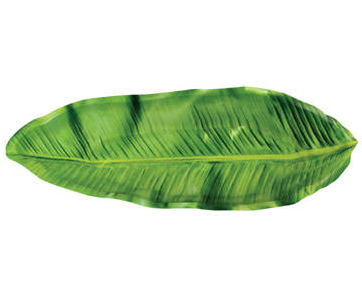 Dschungel_Blatt__4e1ffe6eac9fb.png