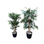 Bambus_klein_4fcdf3553c4b0.png