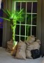 Jutens__cke_4e8981b3a3519.jpg